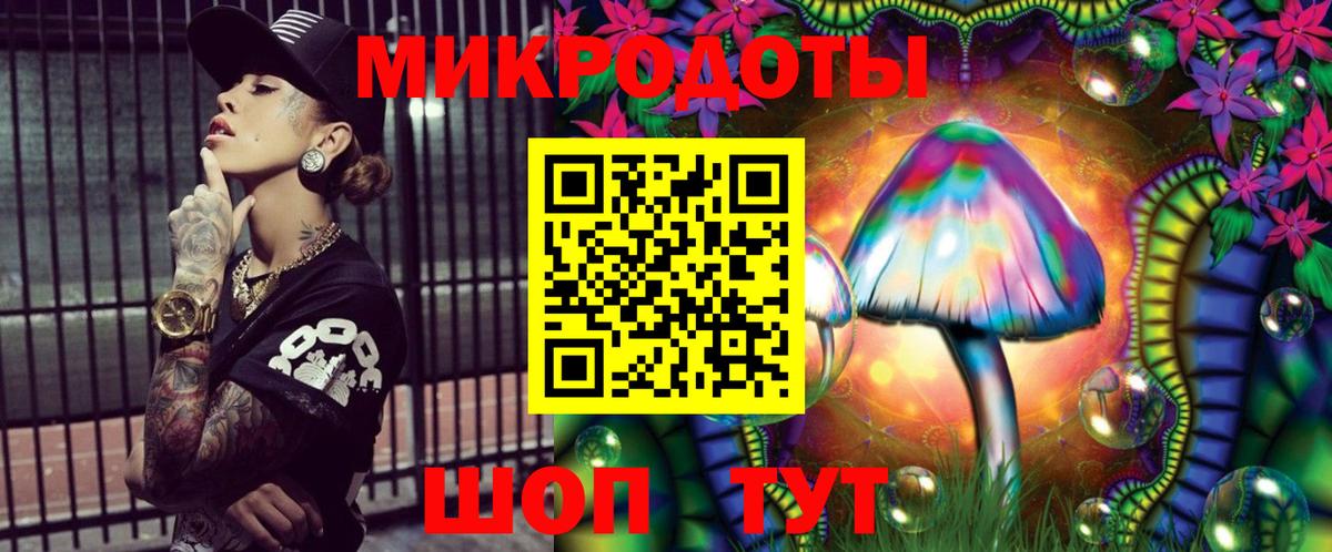 Псилоцибиновые грибы Psilocybe Новый Уренгой