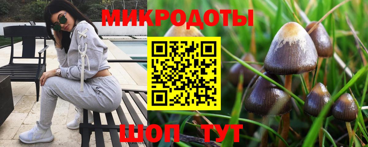 Псилоцибиновые грибы Cubensis  Псилоцибиновые грибы ЛСД  Новый Уренгой  Вход с VPN 